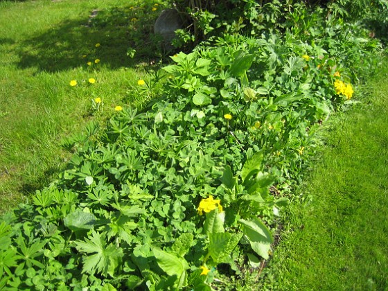   
2010-05-23 019  
Granudden  
Färjestaden  
Öland