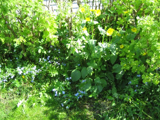 Uteplatsen  
  
2010-05-23 026  
Granudden  
Färjestaden  
Öland