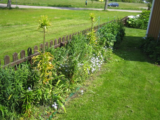 Granudden  
  
2010-06-06 IMG_0033  
Granudden  
Färjestaden  
Öland