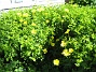  (2010-06-12 IMG_0116)