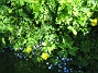  (2010-06-12 IMG_0117)