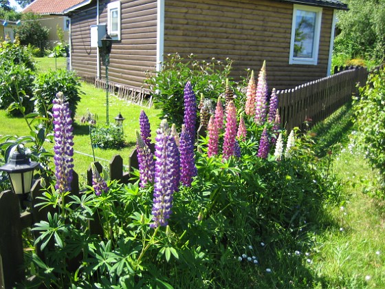 Granudden  
  
2010-06-24 IMG_0003  
Granudden  
Färjestaden  
Öland