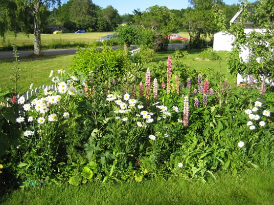 Bakgården  
  
2010-06-27 IMG_0012  
Granudden  
Färjestaden  
Öland