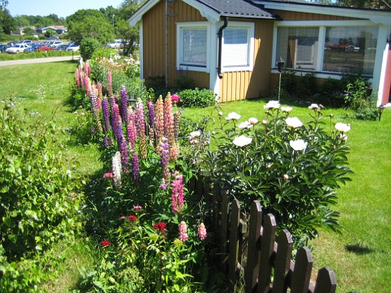 Staket  
  
2010-06-27 IMG_0041  
Granudden  
Färjestaden  
Öland