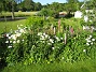 Bakgården  
  
2010-06-27 IMG_0012