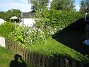  (2010-07-04 IMG_0015)