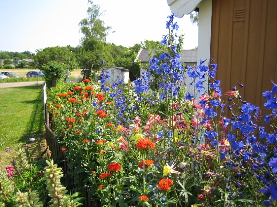   
2010-07-09 IMG_0027  
Granudden  
Färjestaden  
Öland