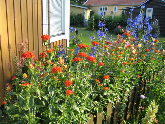   
2010-07-09 IMG_0070  
Granudden  
Färjestaden  
Öland