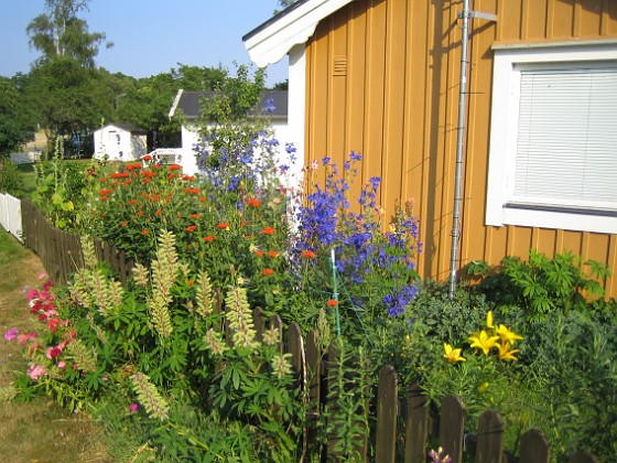   
2010-07-13 IMG_0017  
Granudden  
Färjestaden  
Öland