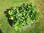 IMG_0023  
  
2010-07-19 IMG_0023