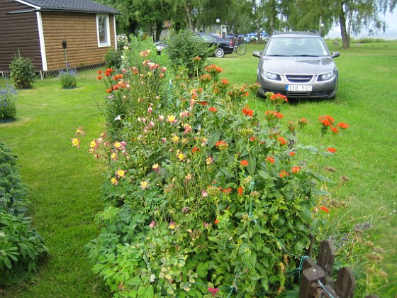   
2010-08-01 IMG_0066  
Granudden  
Färjestaden  
Öland