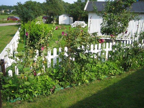 Bakgården