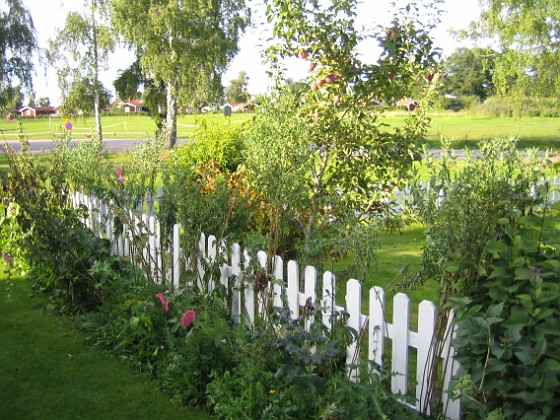   
2010-09-05 IMG_0061  
Granudden  
Färjestaden  
Öland