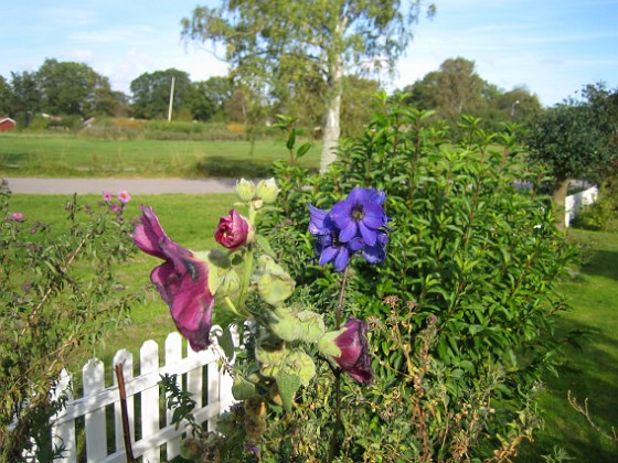 Granudden  
  
2010-10-03 IMG_0037  
Granudden  
Färjestaden  
Öland