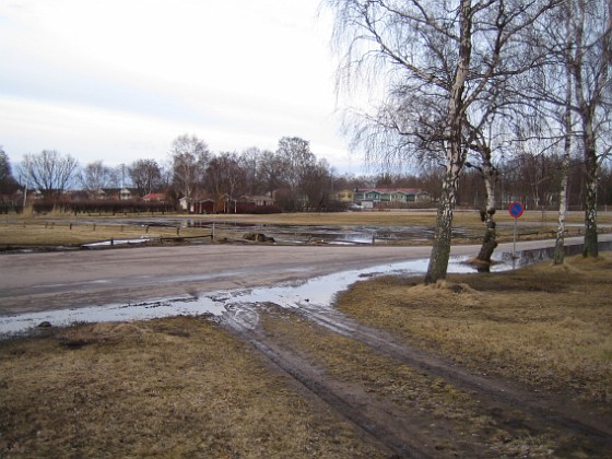 Hjulspår  
Varje vår är det rejält vattensjukt.  
2011-03-25 002  
Granudden  
Färjestaden  
Öland