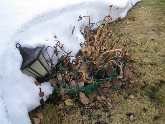 Solcellslampor  
Lamporna tar stryk varje vinter. Borde egentligen ta in dem.  
2011-03-25 012  
Granudden  
Färjestaden  
Öland