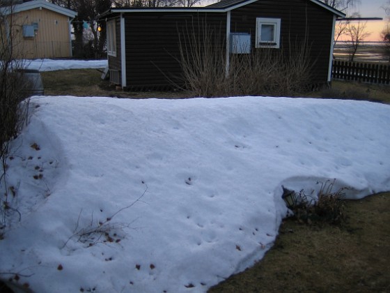 Snövall  
  
2011-03-25 041  
Granudden  
Färjestaden  
Öland