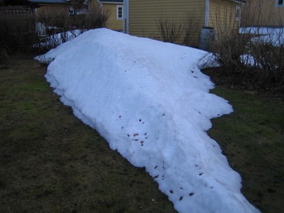 Snövall  
  
2011-03-25 043  
Granudden  
Färjestaden  
Öland