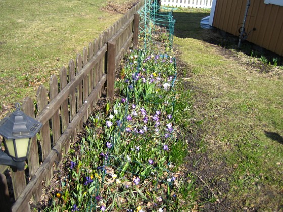   
2011-04-09 004  
Granudden  
Färjestaden  
Öland