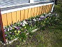  (2011-04-09 007)