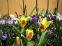  (2011-04-09 017)