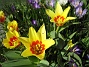  (2011-04-10 014)