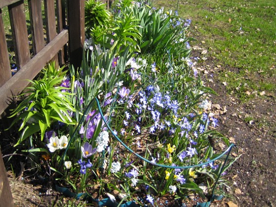   
2011-04-15 002  
Granudden  
Färjestaden  
Öland