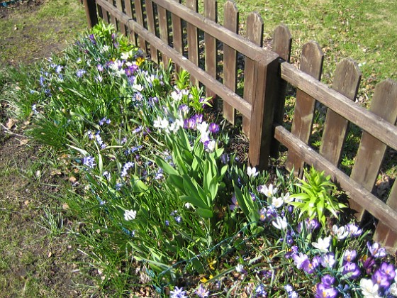   
2011-04-15 021  
Granudden  
Färjestaden  
Öland