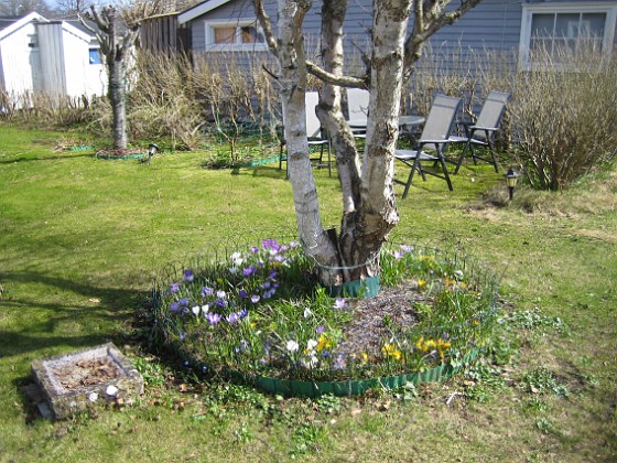 Granudden  
  
2011-04-15 063  
Granudden  
Färjestaden  
Öland