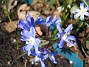  (2011-04-15 014)