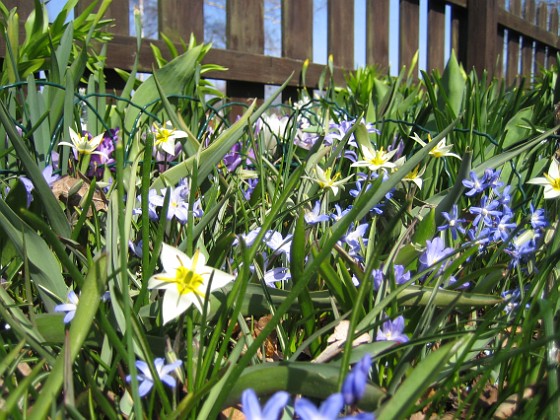   
2011-04-17 056  
Granudden  
Färjestaden  
Öland