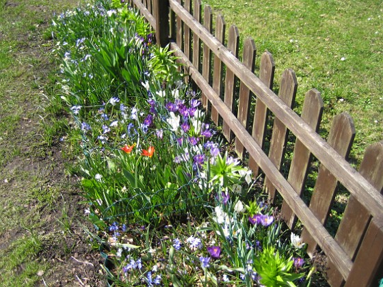   
2011-04-17 115  
Granudden  
Färjestaden  
Öland