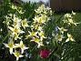  (2011-04-21 057)
