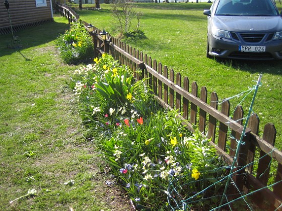   
2011-04-24 043  
Granudden  
Färjestaden  
Öland