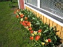  (2011-04-24 053)