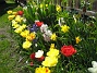  (2011-05-07 IMG_0103)