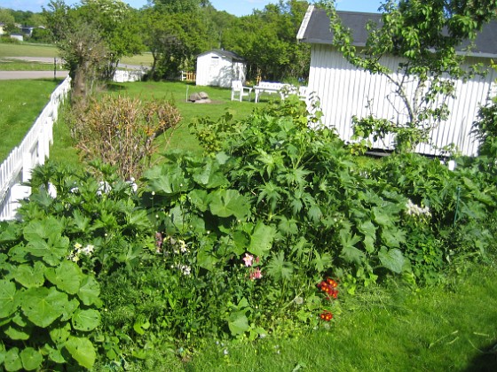   
2011-05-29 IMG_0018  
Granudden  
Färjestaden  
Öland