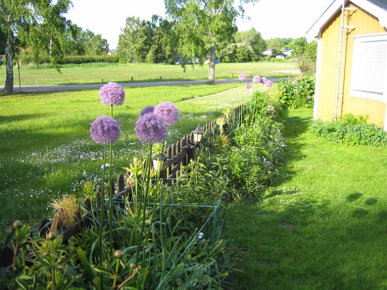 Staketet  
  
2011-06-02 IMG_0020  
Granudden  
Färjestaden  
Öland