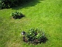  (2011-06-06 IMG_0101)
