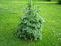 IMG_0033  
  
2011-06-11 IMG_0033