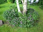 IMG_0054  
  
2011-06-11 IMG_0054