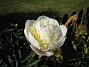  (2011-06-12 IMG_0024)