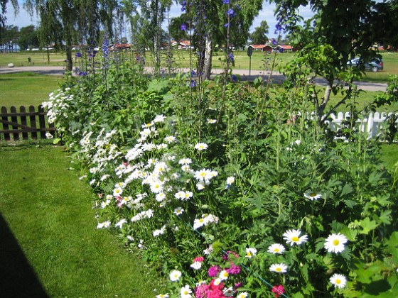 Granudden  
  
2011-06-21 IMG_0059  
Granudden  
Färjestaden  
Öland