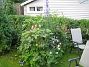 IMG_0043  
  
2011-06-24 IMG_0043