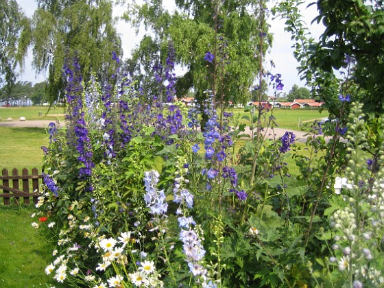 Granudden  
  
2011-07-04 IMG_0192  
Granudden  
Färjestaden  
Öland