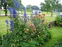 Vid staketet har jag en rabatt med blå Praktriddarsporrar 'Bellamossum', och framför dem har jag Ackleja 'McKana Giants'. Närmast staketet har jag Studentnejlikor, som på just den här bilden skymtar i bakgrunden. (2011-07-04 IMG_0165)