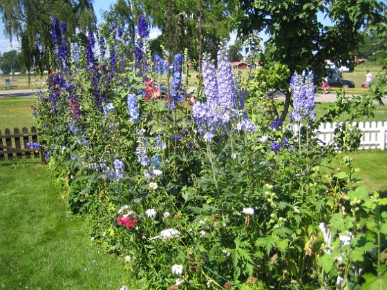   
2011-07-09 IMG_0027  
Granudden  
Färjestaden  
Öland