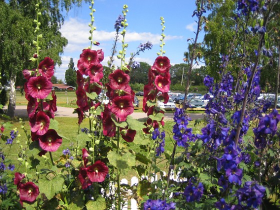   
2011-07-12 IMG_0044  
Granudden  
Färjestaden  
Öland