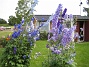 IMG_0117  
  
2011-07-13 IMG_0117
