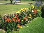  (2011-07-16 IMG_0001)